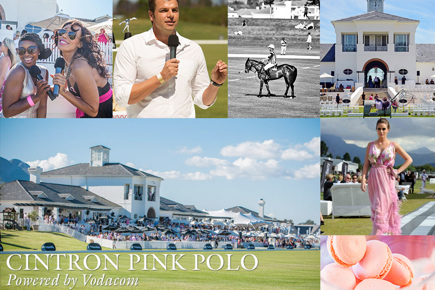 Cintron Pink Polo